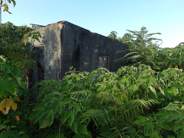 麟山鼻 (160).JPG