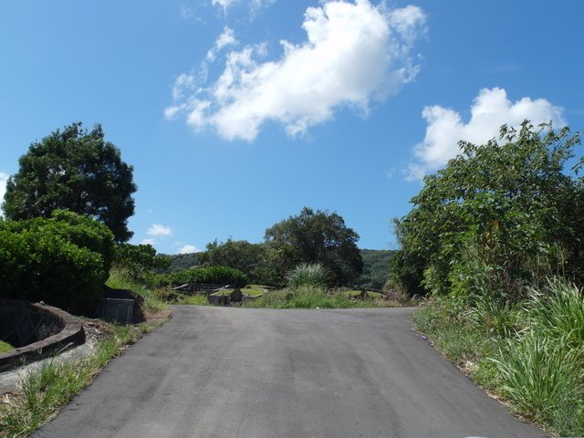 關渡龍園 (13).JPG