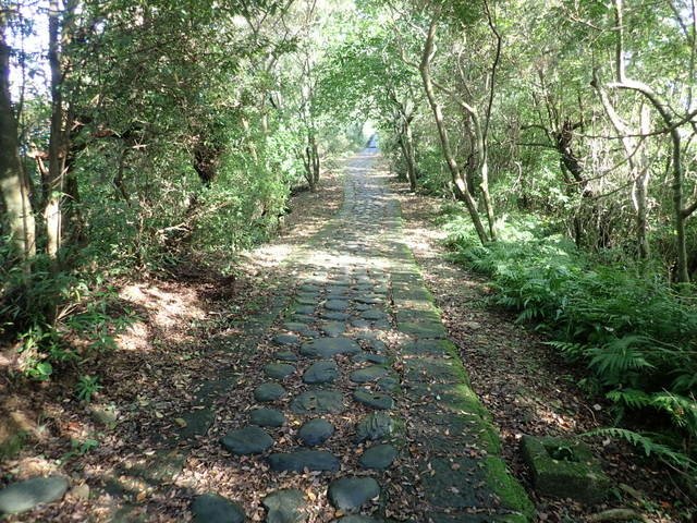 仁山植物園 (26).JPG