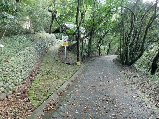 仁山植物園 (177).JPG
