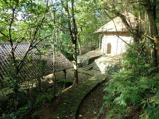仁山植物園 (169).JPG