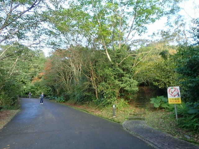 仁山植物園 (214).JPG