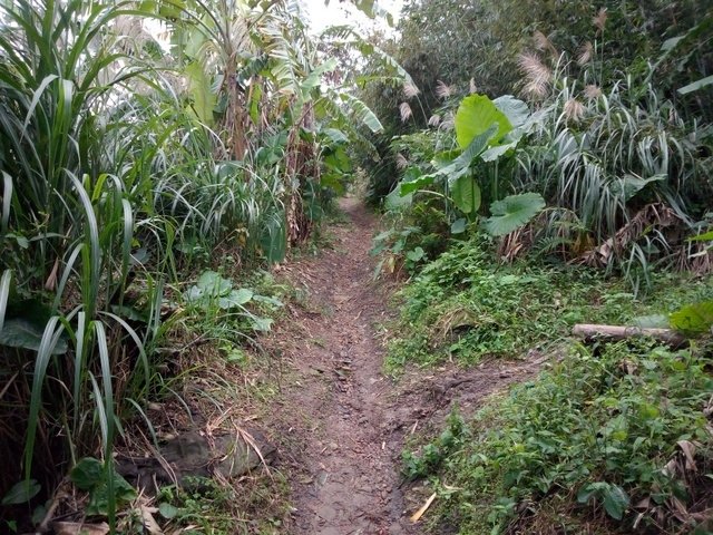 六坑山 (7).jpg