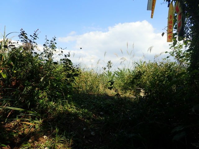 基隆天際線 (51).JPG