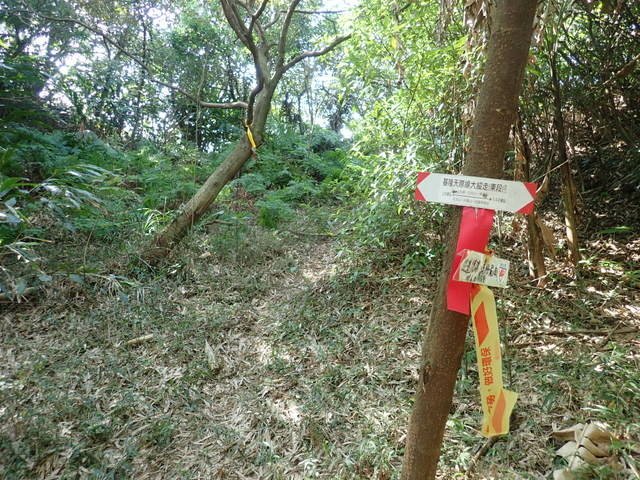 基隆天際線 (67).JPG