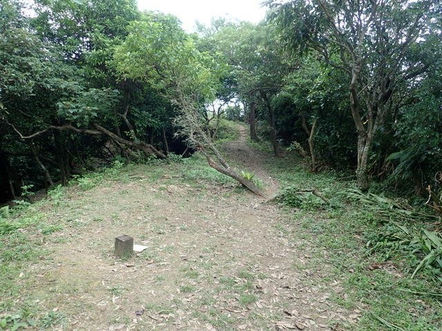 基隆天際線 (124).JPG