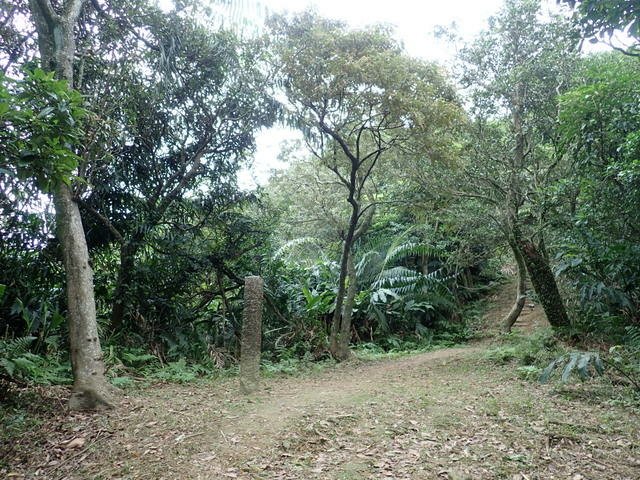 基隆天際線 (159).JPG