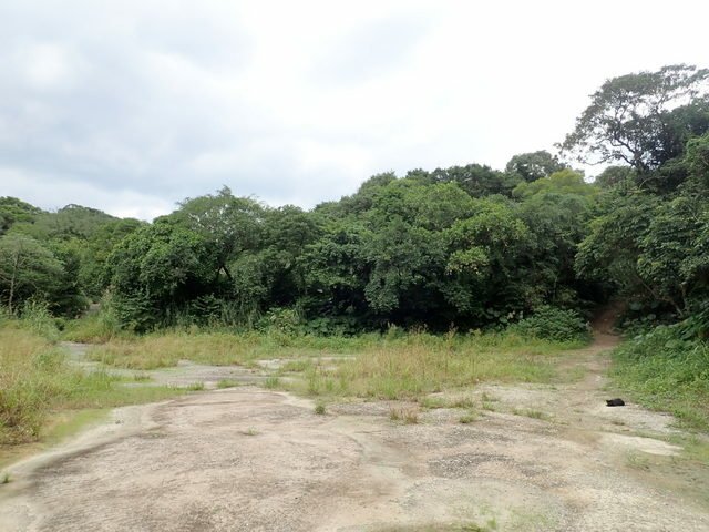 基隆天際線 (197).JPG