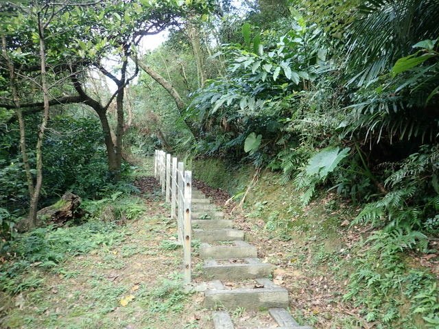 四腳亭砲台 (39).JPG