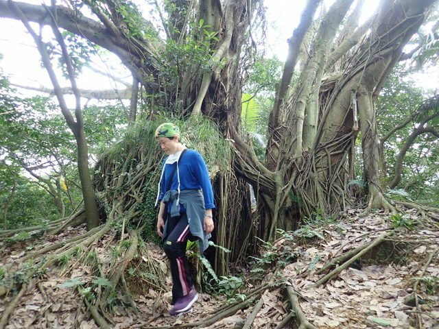 基隆天際線西段 (111).JPG