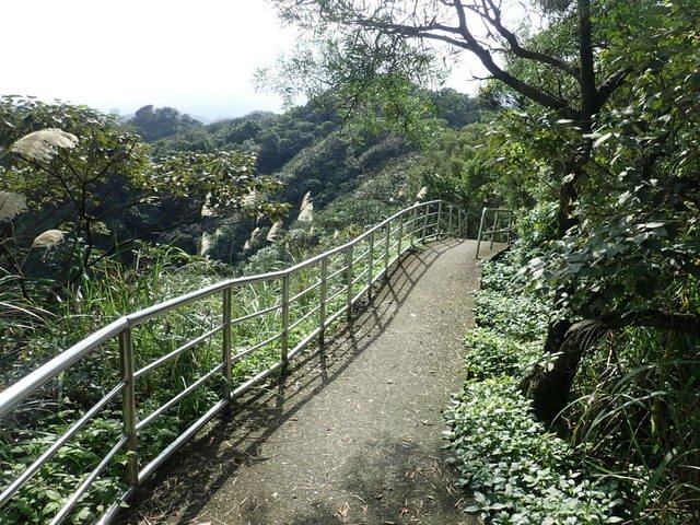 基隆天際線西段 (215).JPG