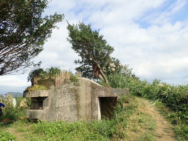 基隆天際線西段 (307).JPG