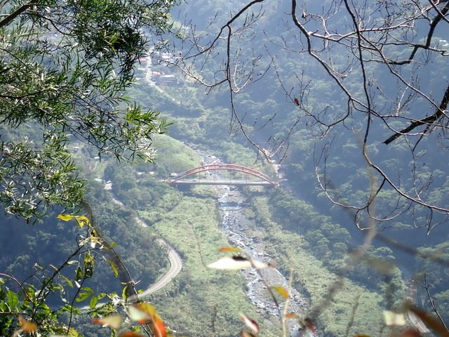 大克山 (85).jpg
