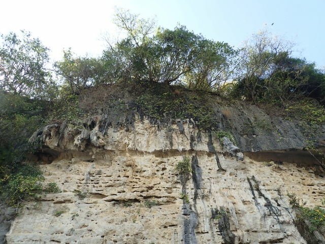 田寮 (43).JPG