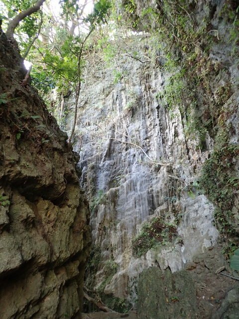 田寮 (47).JPG