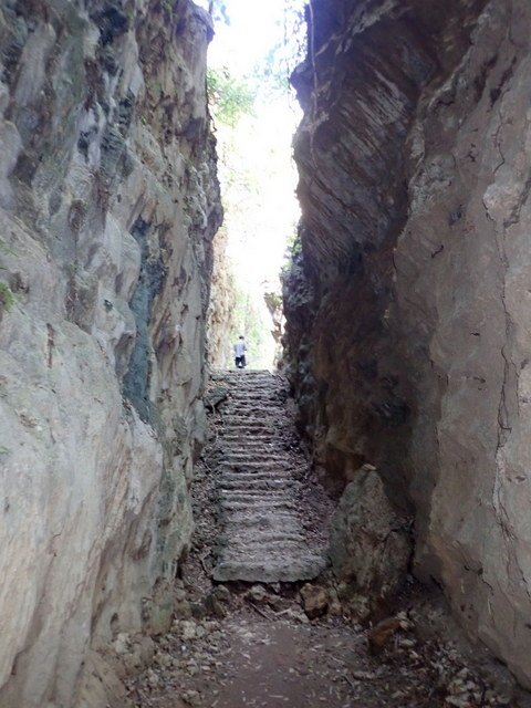 田寮 (56).JPG