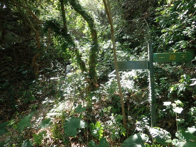 田寮 (73).JPG