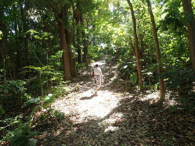 田寮 (79).JPG