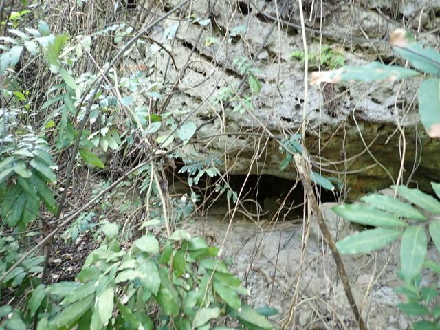 田寮 (87).JPG