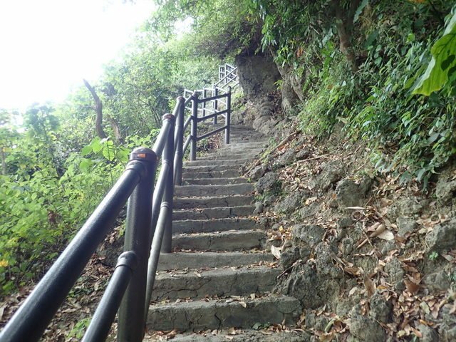 田寮 (134).JPG