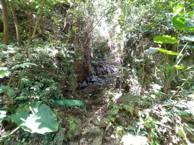 田寮 (173).JPG