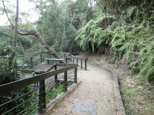內湖山步道 (10).jpg