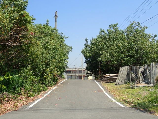 林邊 (234).JPG