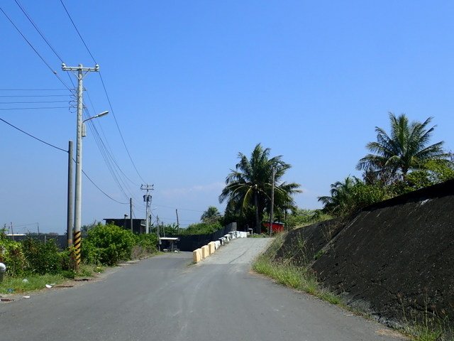 林邊 (273).JPG