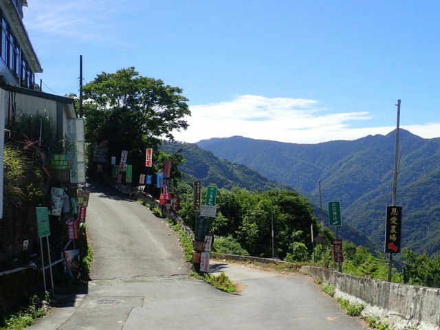 塔曼山 (26).JPG