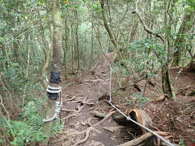 塔曼山 (214).JPG