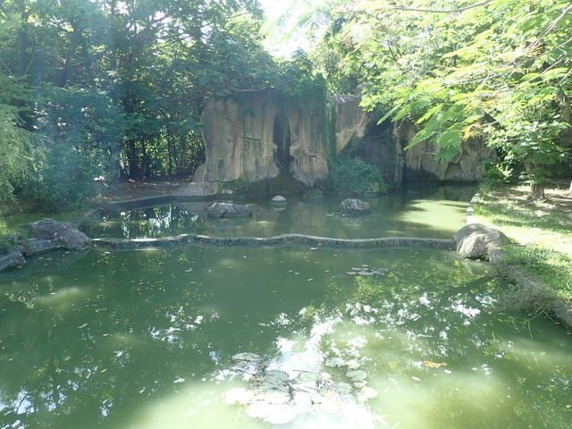 金獅湖 (38).jpg