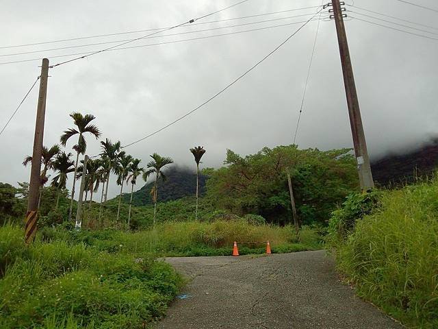 鸞山森林博物館 (25).jpg