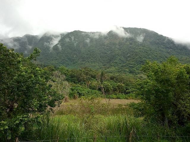 鸞山森林博物館 (65).jpg