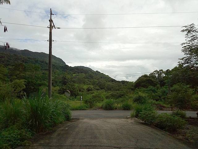 鸞山森林博物館 (70).jpg