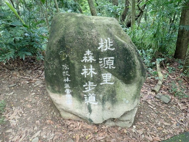 坑仔內山 (55).JPG