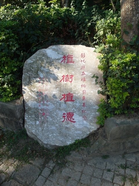 坑仔內山 (87).jpg