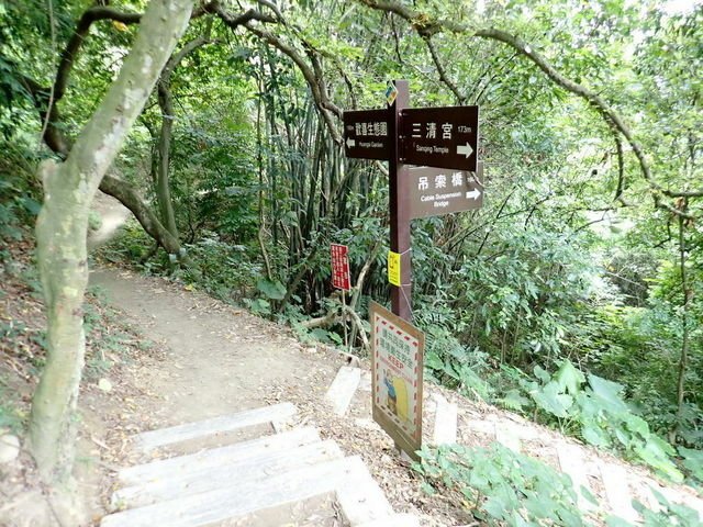 坑仔內山 (100).jpg