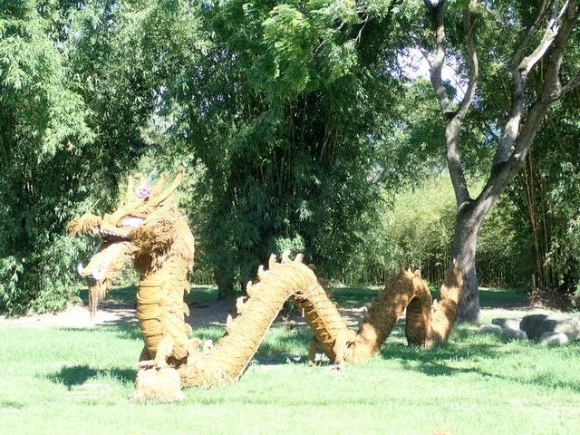 瓦拉米 (8).JPG