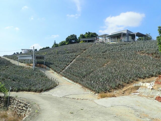 阿罩霧山 (100).JPG