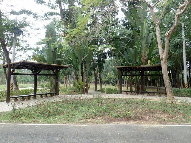新威森林公園 (31).jpg