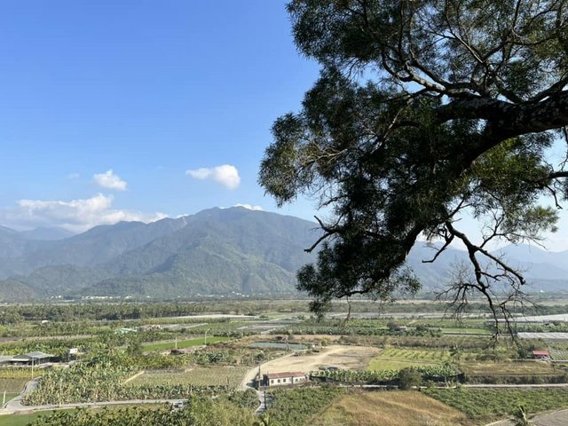 新威森林公園 (45).jpg