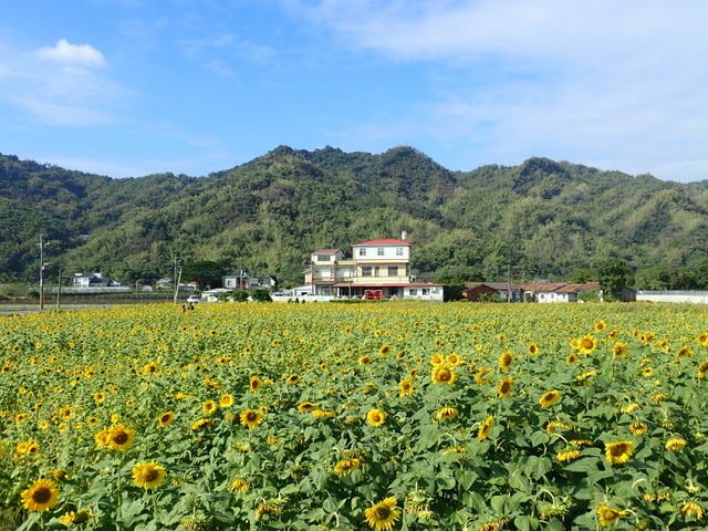 美濃民俗村 (25).JPG