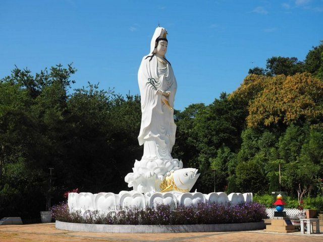 鯉魚潭步道 (34).jpg