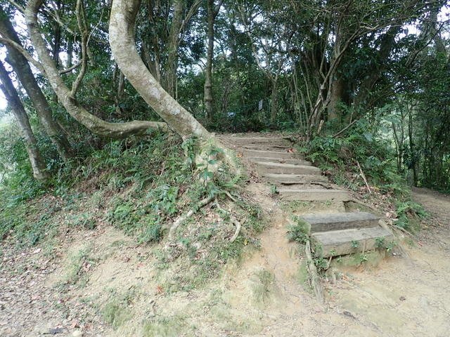 大艽芎古道 (18).JPG