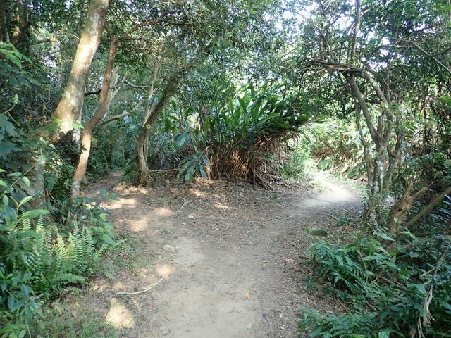 大艽芎古道 (104).JPG