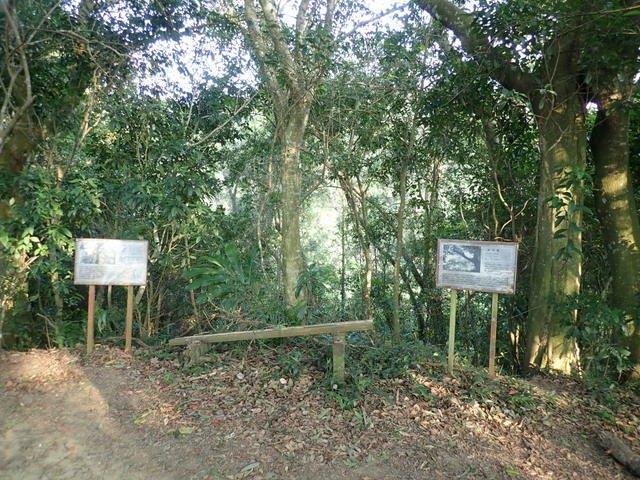 大艽芎古道 (153).JPG