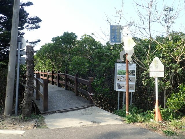 鳳岡漁港 (51).JPG