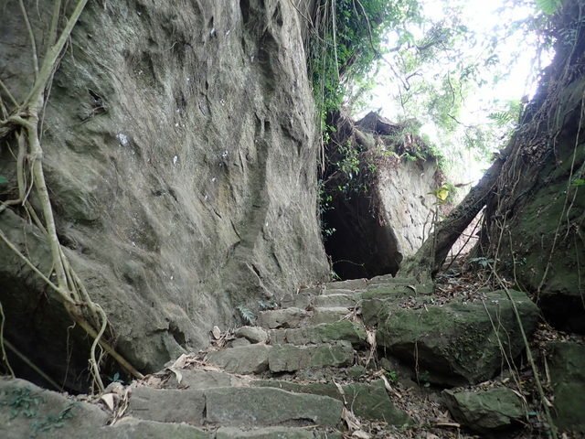 崁頭山 (110).JPG