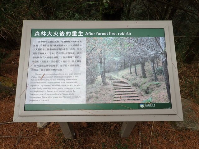 中之關古道 (37).JPG