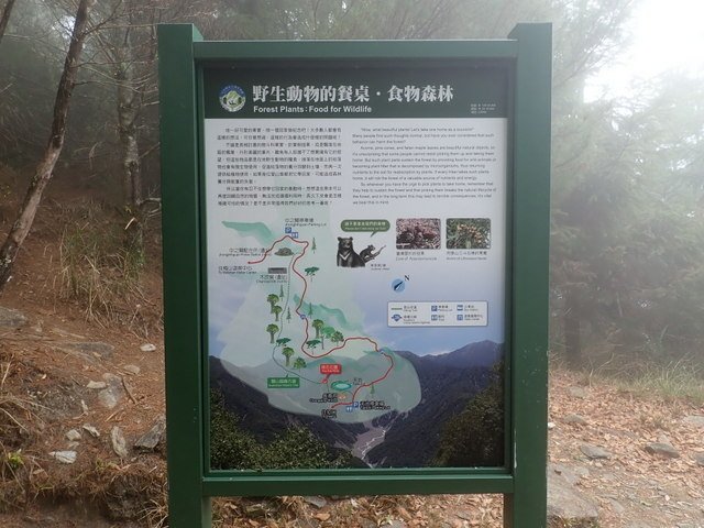 中之關古道 (39).JPG